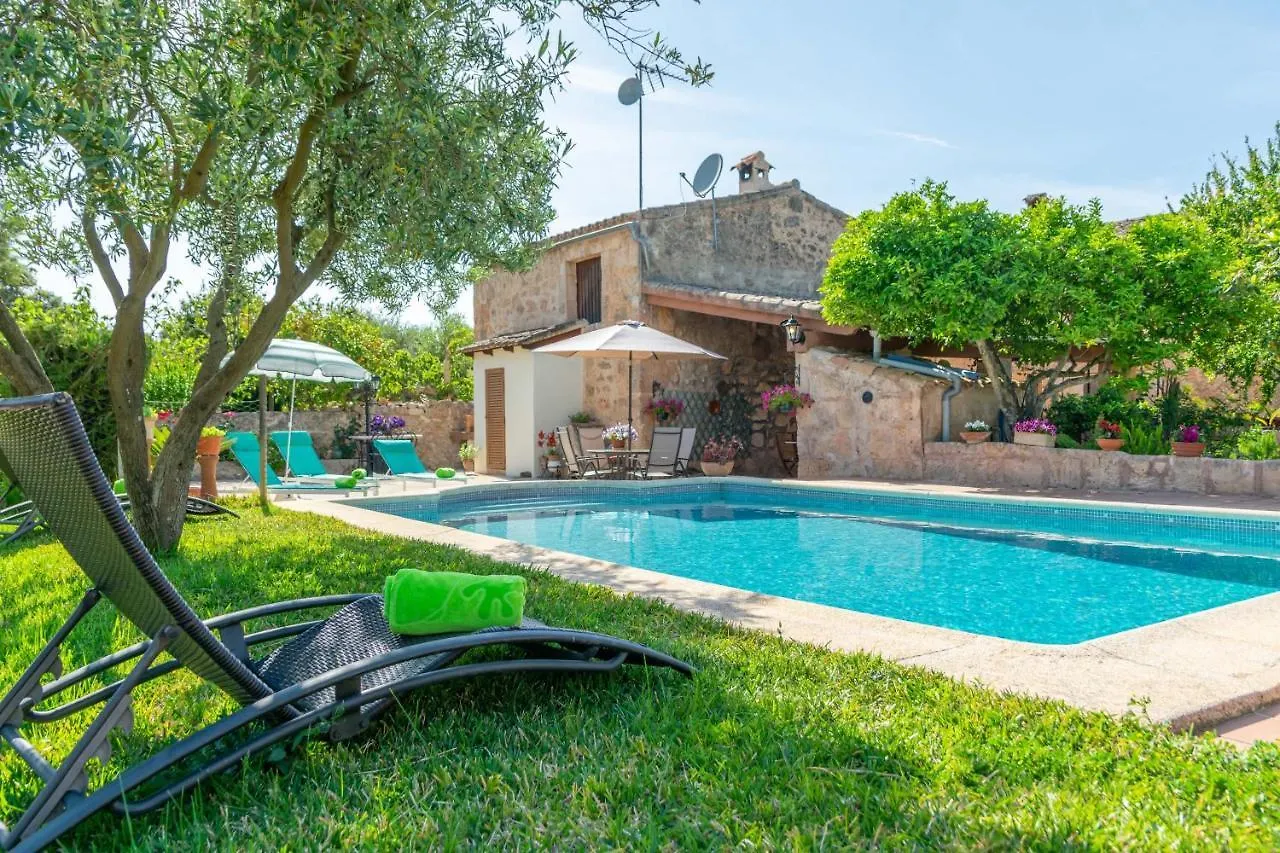 Can Fiolet Algaida  Spain