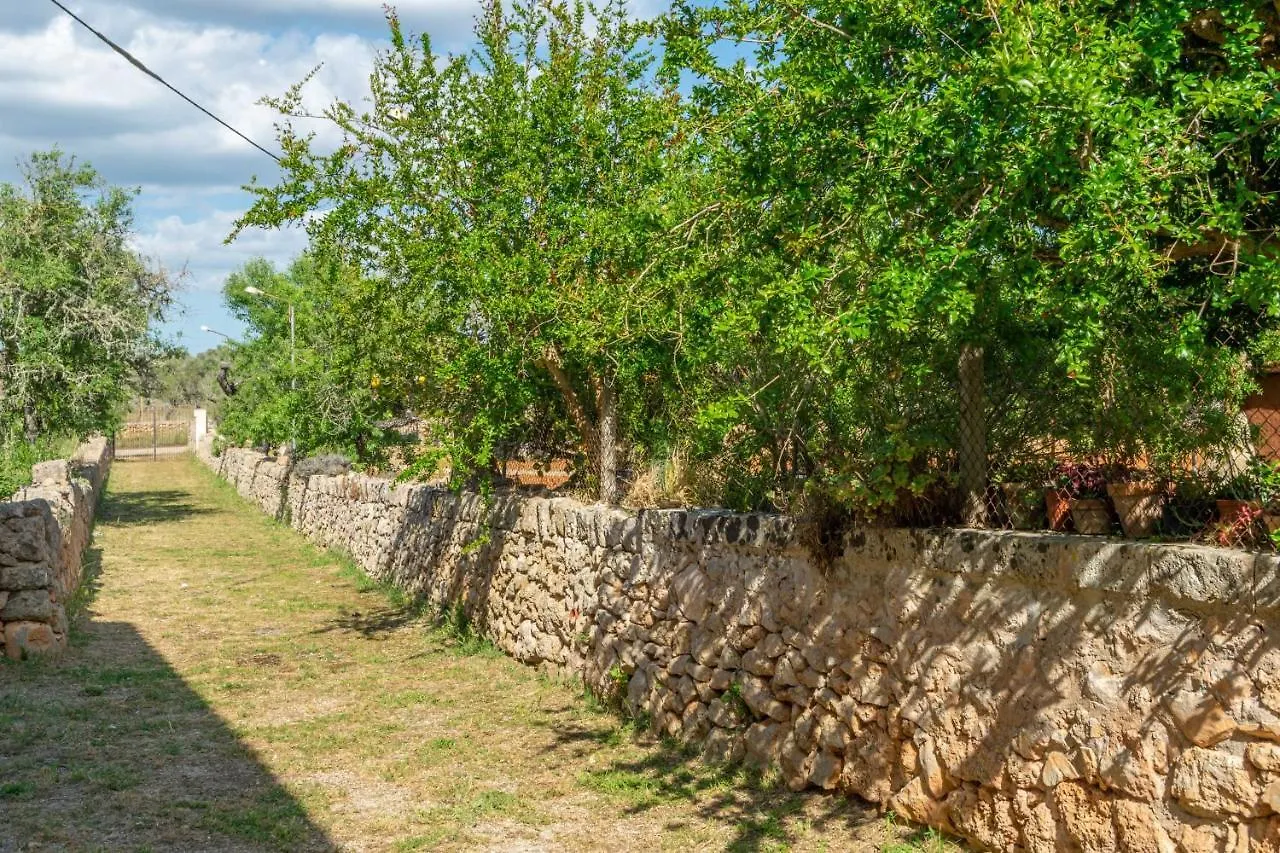 Can Fiolet Algaida  0*, Algaida (Mallorca)